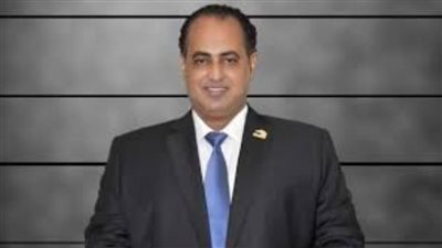 نائب بـ«الشيوخ»: التشريعات ذات الجدل على رأس أجندة المجلس خلال الجلسات المقبلة