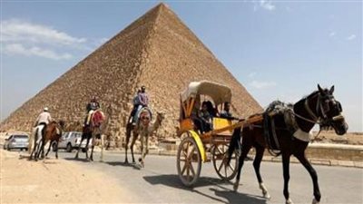 حقيقة فيديو شكوى أجنبي ادعى تعرضه لمضايقات من بعض أصحاب الدواب