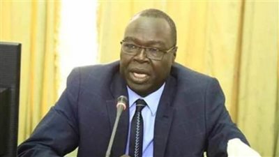 عضو بمجلس السيادة السوداني يشدد على ضرورة تعزيز التحول الديمقراطي