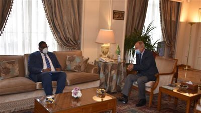 أبو الغيط يستقبل وزير الدولة الصومالي لشؤن الرئاسة