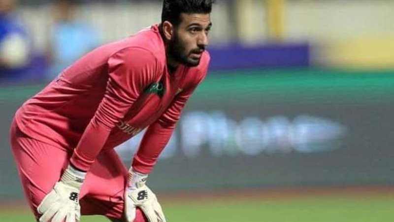 أحمد الشناوى