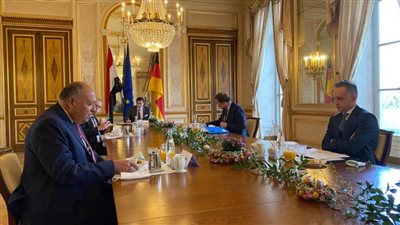 شكرى ونظيره الألمانى يؤكدان على المستوى المتميز للعلاقات بين البلدين