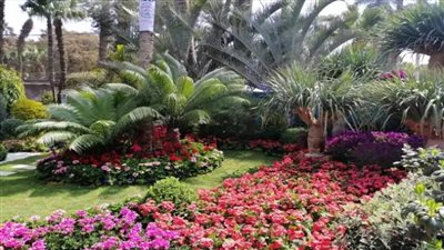 معرض الزهور 2021 .. الزراعة تعلن عن موعد الافتتاح الرسمي 