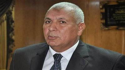 محافظ الوادي الجديد يتفقد بدء أعمال مبادرة 