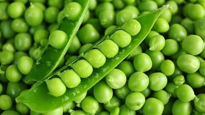 هناكل إيه النهارده| البسلة والكوسة يستقران عند 5 جنيهات.. والموز يسجل 10 جنيهات