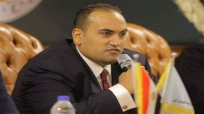 برلماني: سنعمل على توطيد العلاقات خارجيا وإبراز دور مصر في مكافحة الإرهاب