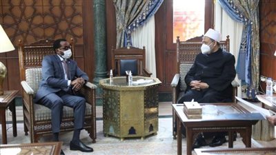 الإمام الأكبر: الأزهر لا يدخر جهدًا في سبيل الارتقاء بالتعليم في إفريقيا