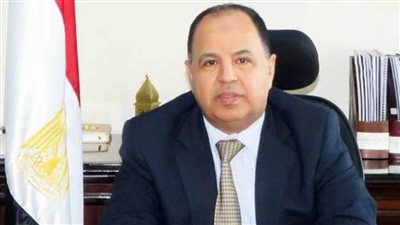 وزير المالية يؤكد أن مصر تشهد حركة تنموية غير مسبوقة في شتى المجالات