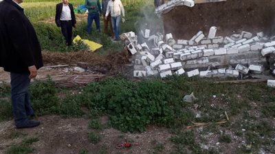 إزالة 26 حالة تعدٍ على الأراضي الزراعية بالبحيرة