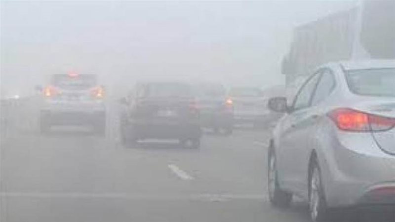 صورة أرشيفة