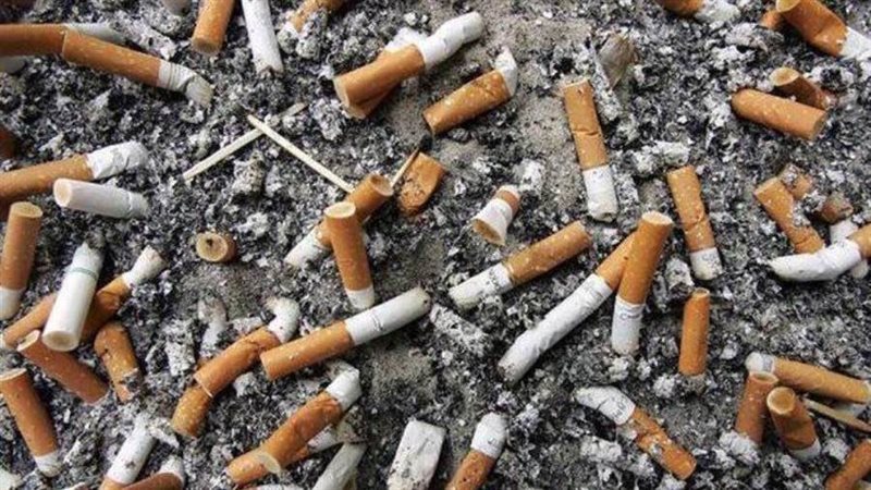 التلوث البيئي بسبب