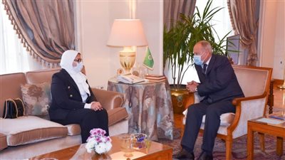 وزيرة الصحة تبحث مع الجامعة العربية سبل استمرار الدعم الطبي للأشقاء العرب