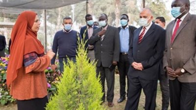 وزير الري يبحث مع نظيره الجنوب سوداني تعزيز العلاقات بين البلدين