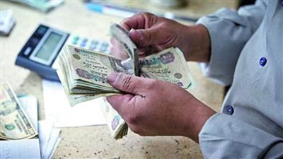 زيادة المرتبات والمعاشات.. تعرّف على قرارات الرئيس السيسي