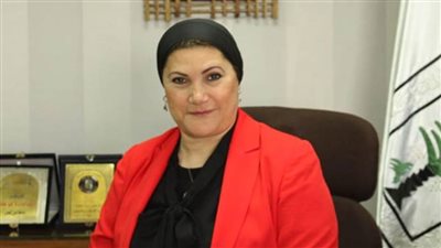 الطفولة والأمومة ينظم ورشة عمل لمتابعة حماية الطفل وتبادل الخبرات