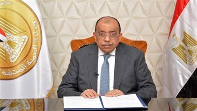 شعراوي: مصر لن تدخر جهدًا في وضع خبراتها لمواجهة التحديات التي تواجه إفريقيا