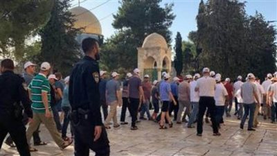 99 مستوطنا يقتحمون باحات 