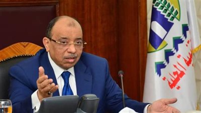 شعراوي: نسعى لتحسين إدارة الموارد المالية بالمحافظات وتعظيم الإيرادات المحلية لتحسين خدمات المواطنين