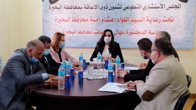 اجتماع المجلس الاستشارى