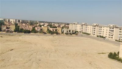 تحت شعار برج العرب تتزين.. نقابة المهندسين بالإسكندرية تزيل مخلفات الرصف والبناء