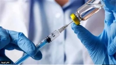 الرئيس الجزائري: وضع كل الإمكانيات تحت تصرف سلطة الانتخابات استعدادا للاستحقاقات المقبلة