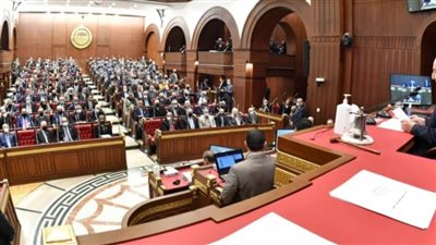 مجلس الشيوخ: تطوير التعليم الفني أهم أولويات الحكومة