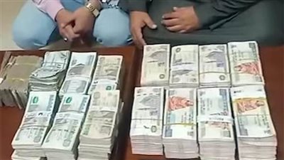 الأموال العامة تستهدف حيتان المحليات في الجيزة