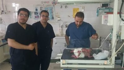 تمهيد طرق أبو شحاتة والحمادات بنفيشة الإسماعيلية