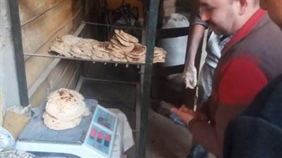 تحرير 26 مخالفة لمنشآت غذائية خلال حملات رقابية بالمنيا 