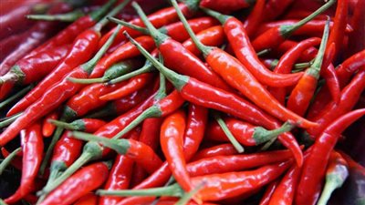 هل الفلفل الحار مفيد للجميع؟
