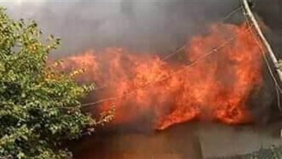 حريق هائل بحظيرة مواشي بالبحيرة