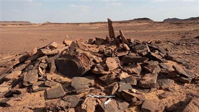 السعودية تكتشف أقدم دليل لاستئناس الكلاب في الجزيرة العربية