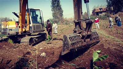إزالة ٢٢٣ حالة تعد على نهر النيل بالدقهلية