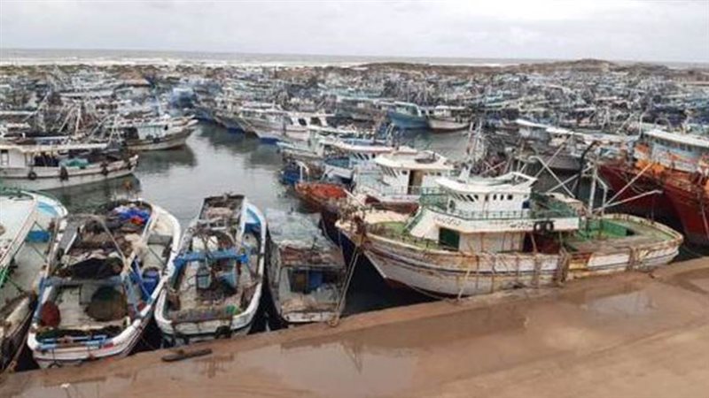 ميناء البرلس