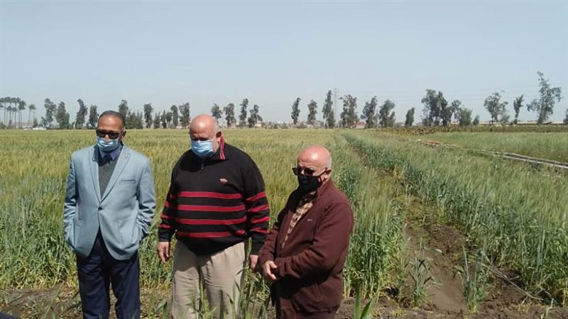 د.أشرف خليل خلال