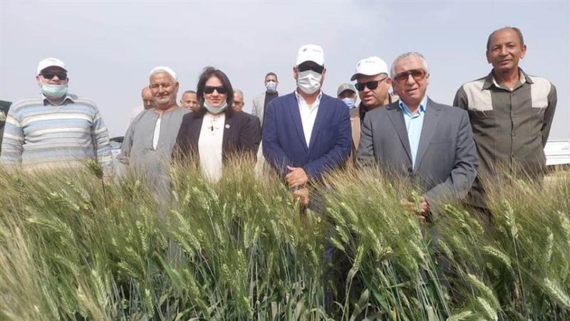 رئيس مركز البحوث