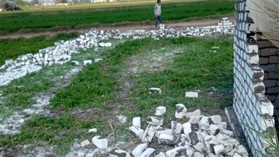 إزالة 11 حالة تعدٍ على الأراضي الزراعية بالبحيرة