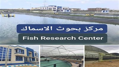دورات تدريبية مكثفة في الاستزراع السمكي بجامعة العريش