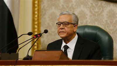 مجلس النواب يستأنف جلساته العامة غدا الأحد لمناقشة مشروع قانون ختان الإناث