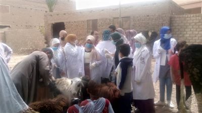 جامعة سوهاج تطلق قافلتها البيطرية المجانية بقرية بني عمار بطهطا