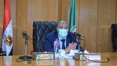 زراعة 250 ألف فدان قمح وبدء موسم التوريد 15 إبريل القادم بالمنيا