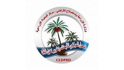 مركزي النخيل ينظم دورة تدريبية للباحثين عن التحليل الإحصائي 