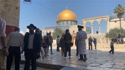 313 مستوطنا يقتحمون المسجد الأقصى تحت حماية شرطة الاحتلال الإسرئيلي