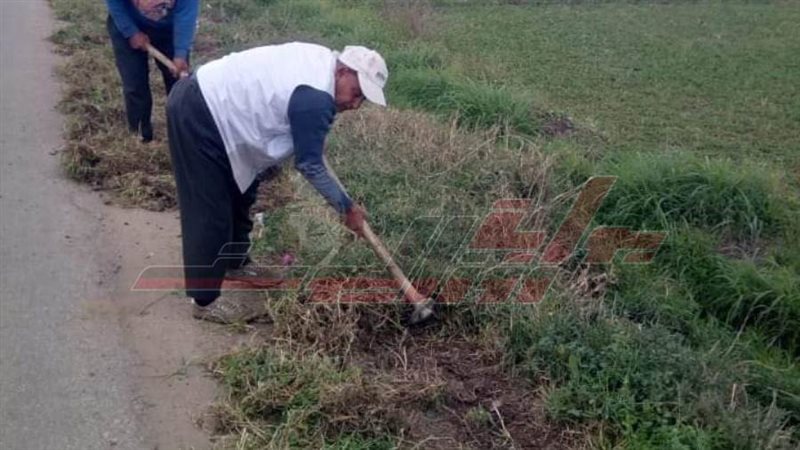 إزالة الحشائش