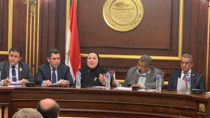 نيفين جامع أمام النواب