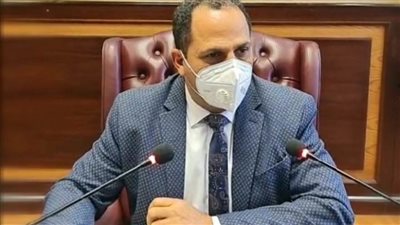 رئيس جامعة دمنهور يهنئ القيادة السياسية وهيئة قناة السويس