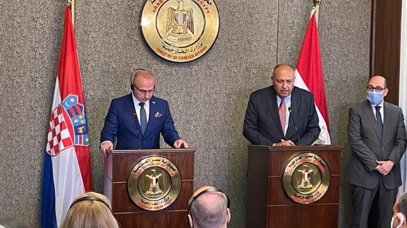 وزير الخارجية ونظيره