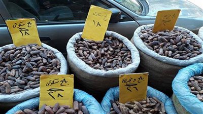 علشان رمضان قرب| اعرف أسعار البلح في الأسواق 