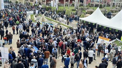 توافد الناخبين للإدلاء بأصواتهم في انتخابات الصحفيين