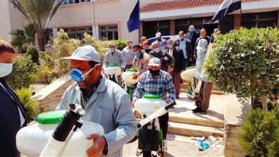 حملات مكثفة لمكافحة الحشرات بدمنهور.. (صور)